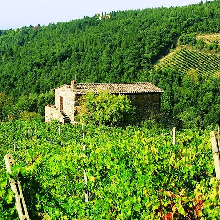 Agriturismo Piemaggino 카스텔리나인키안티 외부 사진