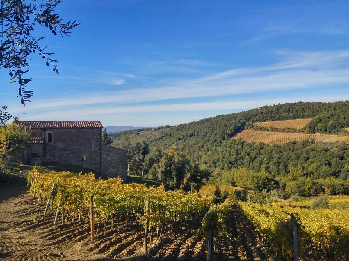 Agriturismo Piemaggino 카스텔리나인키안티 외부 사진