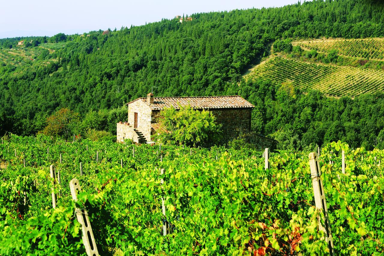 Agriturismo Piemaggino 카스텔리나인키안티 외부 사진