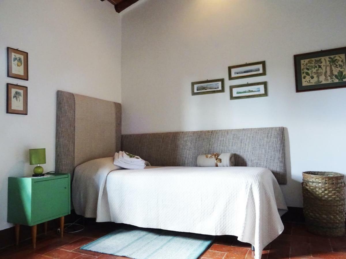 Agriturismo Piemaggino 카스텔리나인키안티 외부 사진